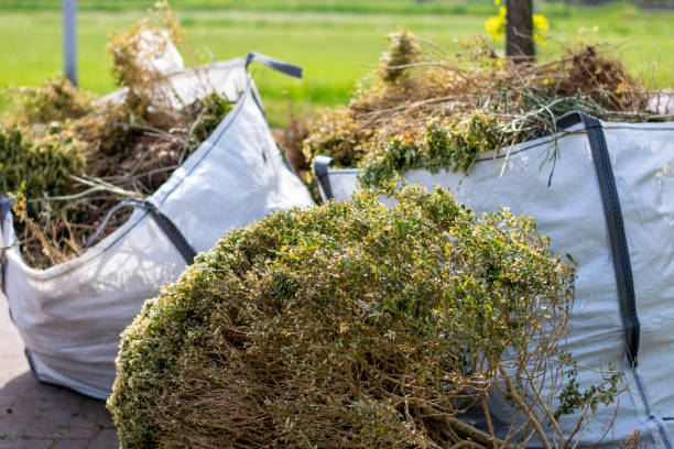 Best Mattress Disposal  in Carthage, MS